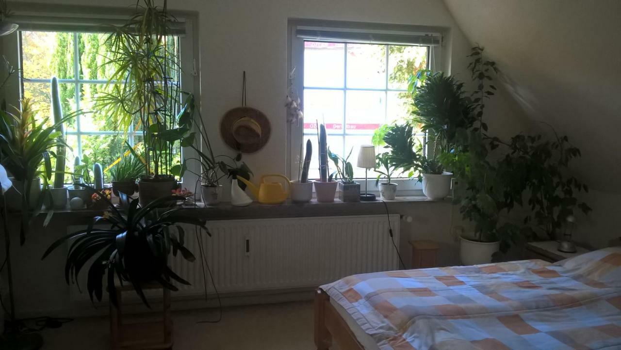 Gemuetl. Ferienwohnung Und Privatzimmer Αμβούργο Εξωτερικό φωτογραφία